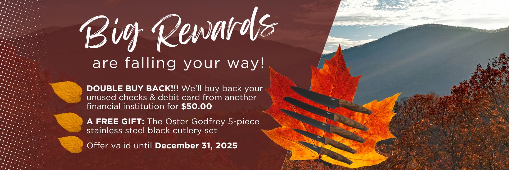 big rewards are falling your way promo